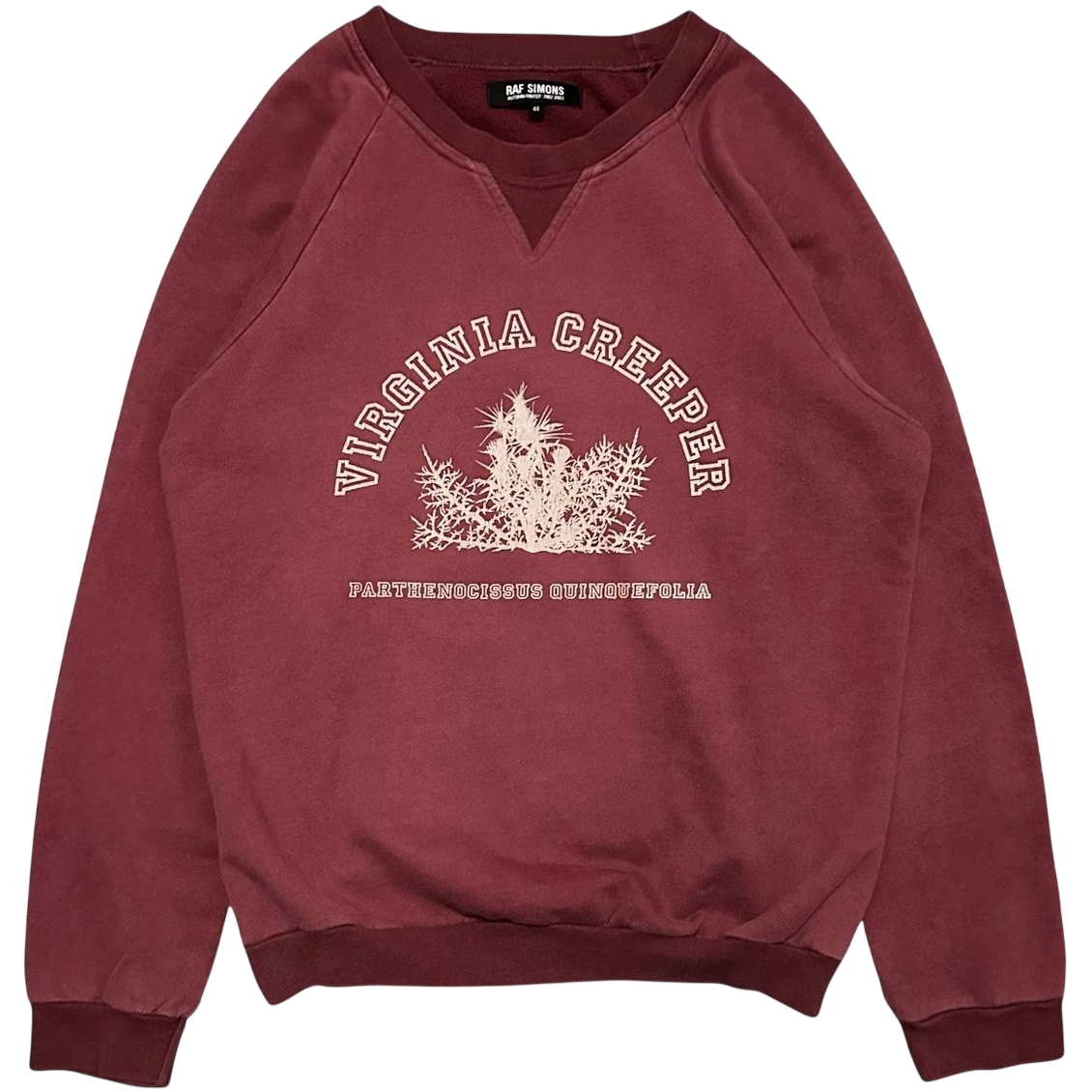 Raf Simons Virginia Creeper Archive Hoodie Red